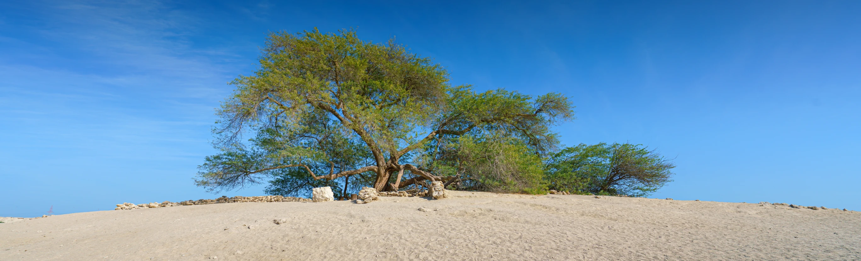 Пляж Бахрейна