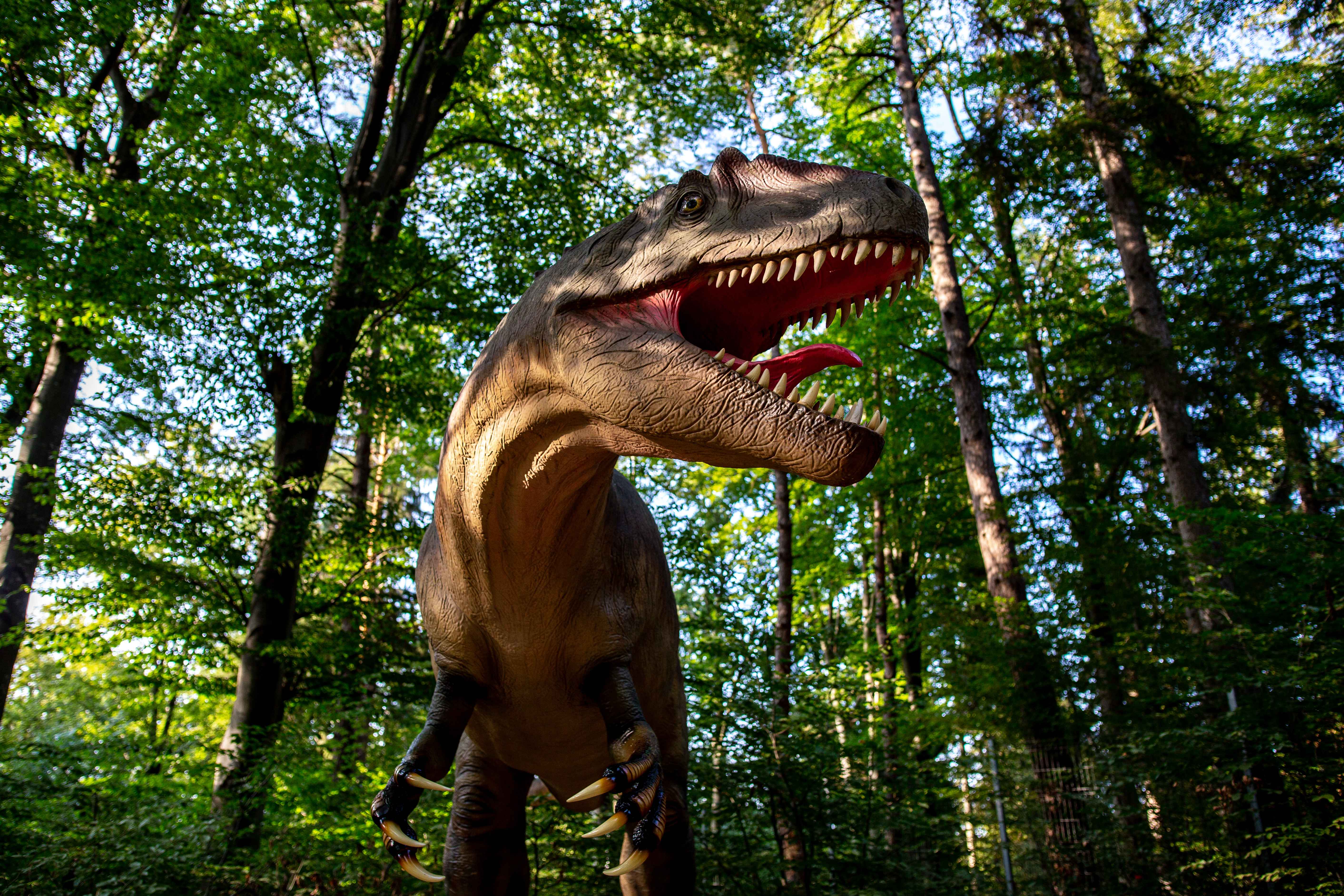 белек турция развлечения динопарк