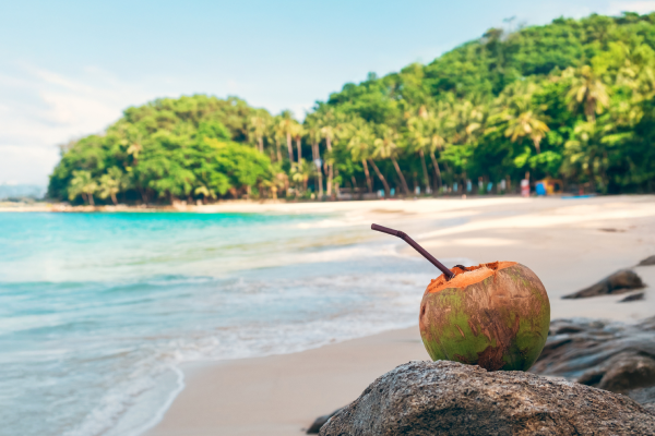 HCAI High Class All Inclusive питание