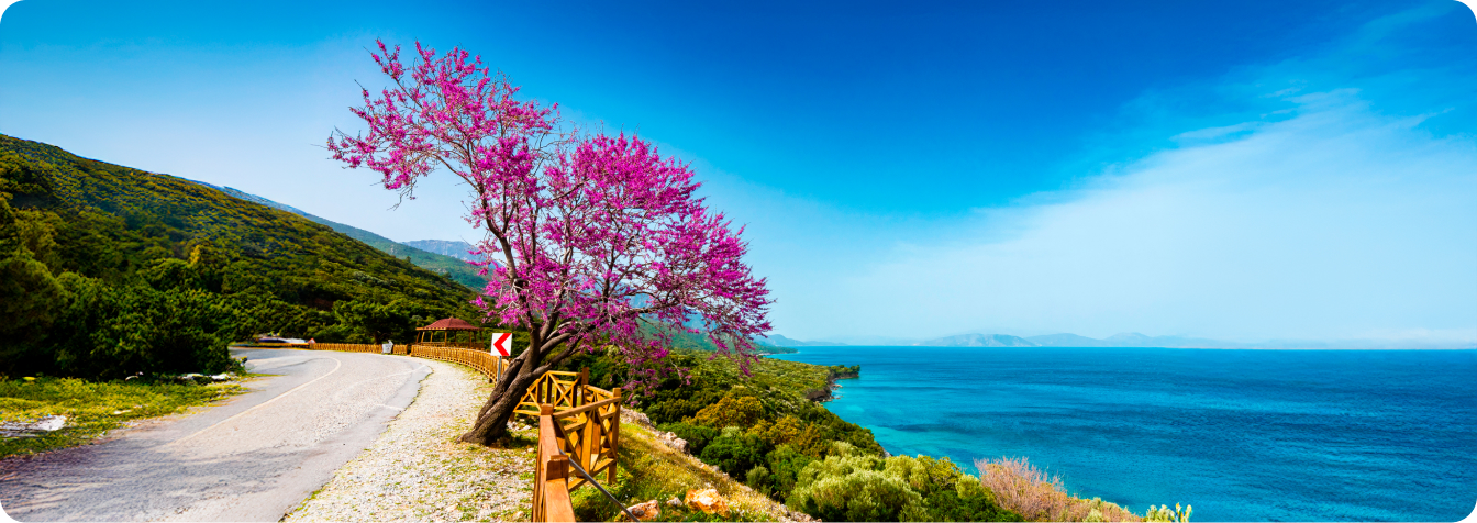 Кушадасы море