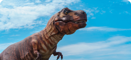 отдых в калининграде на море цены динопарк