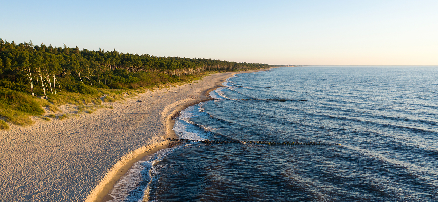 отдых в калининграде на море 2026