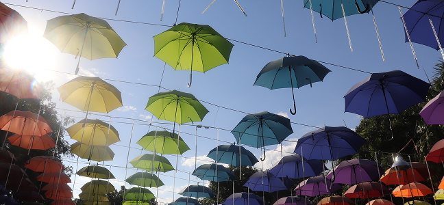 вьетнам Парк Дам-Шеен